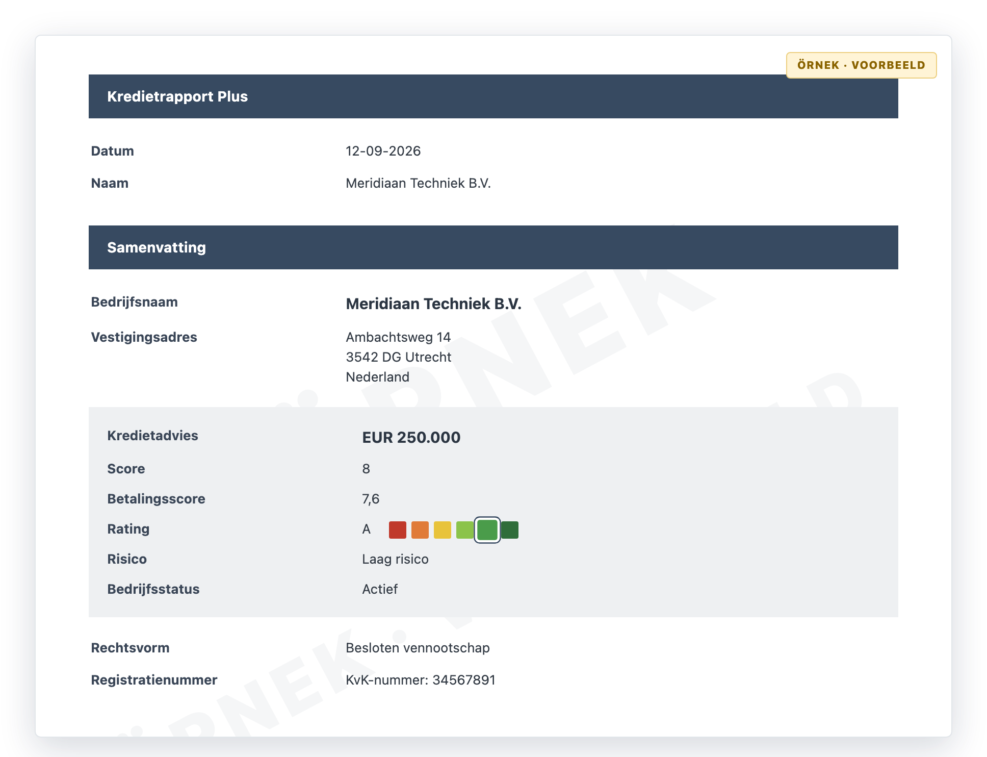 Örnek kredi raporu (kurgusal) — skor, rating ve kredi limiti